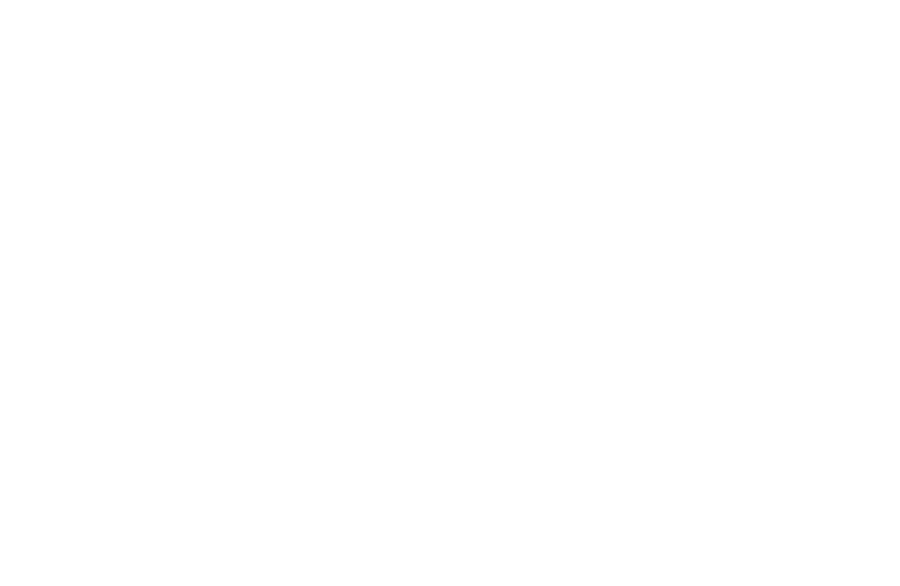 CDMP